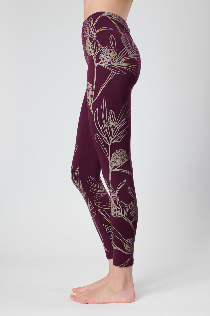Claret Banksia