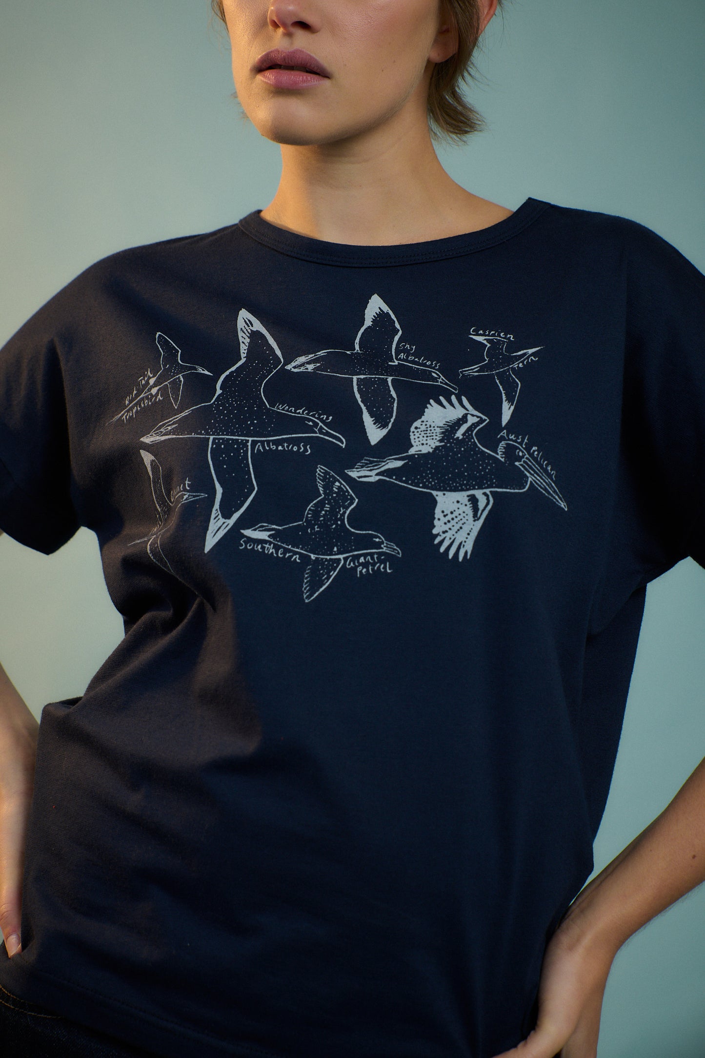 Seabirds Tee