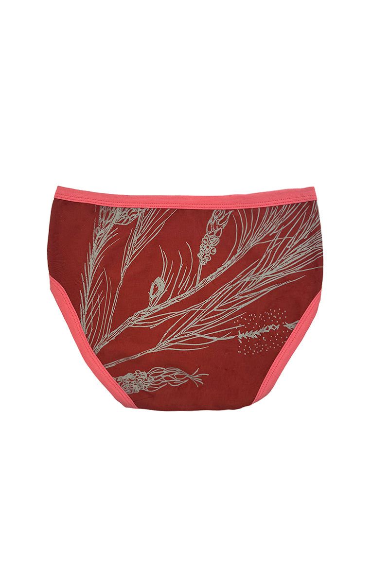 Callistemon Undies