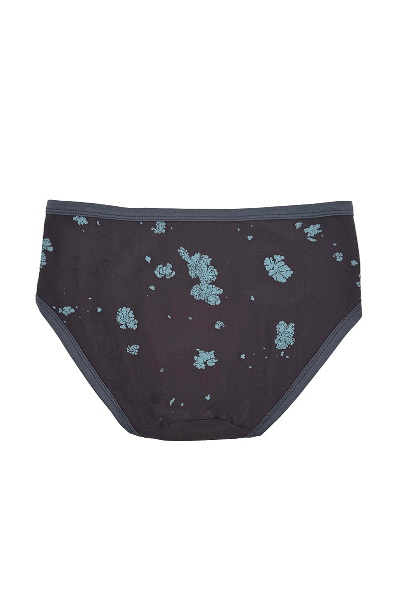Lichen Merino Undies