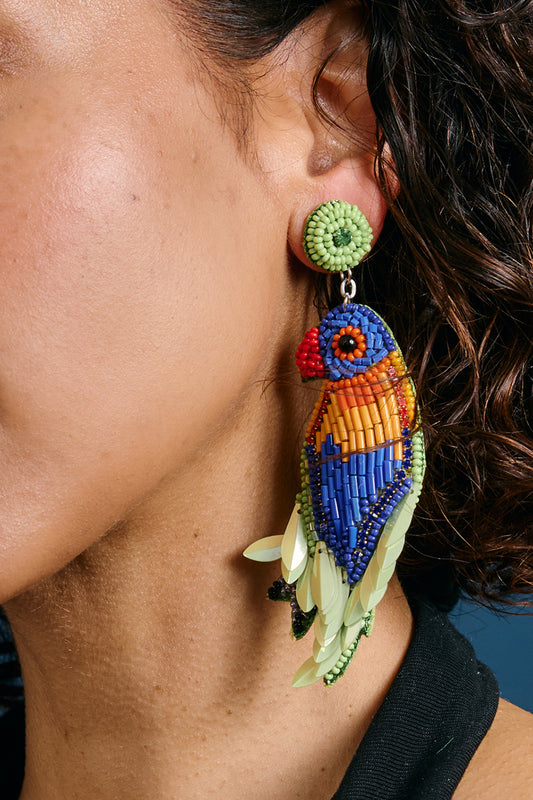 Rainbow Lorikeet Earrlings