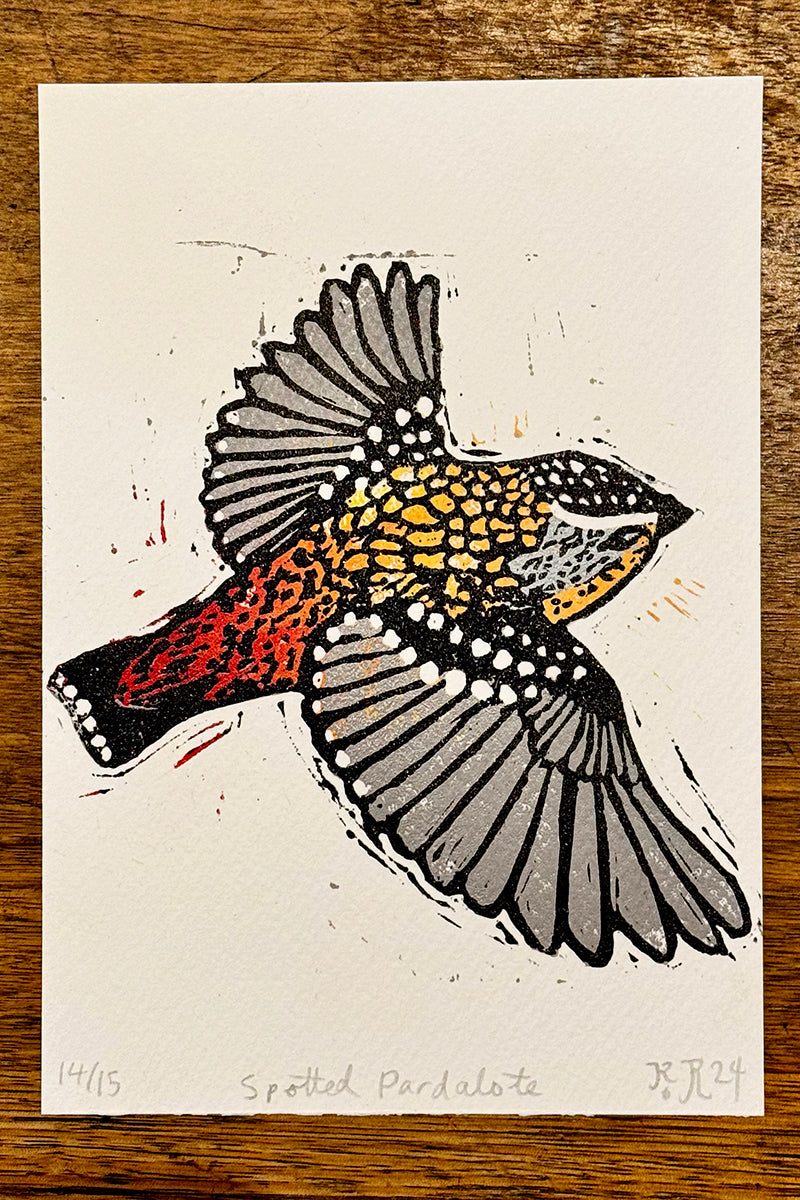 Spotted Pardalote lino print