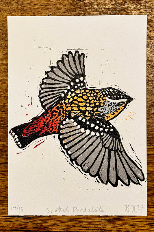 Spotted Pardalote lino print